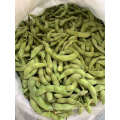 IQF Frozen Organic Edamame Manufacturer